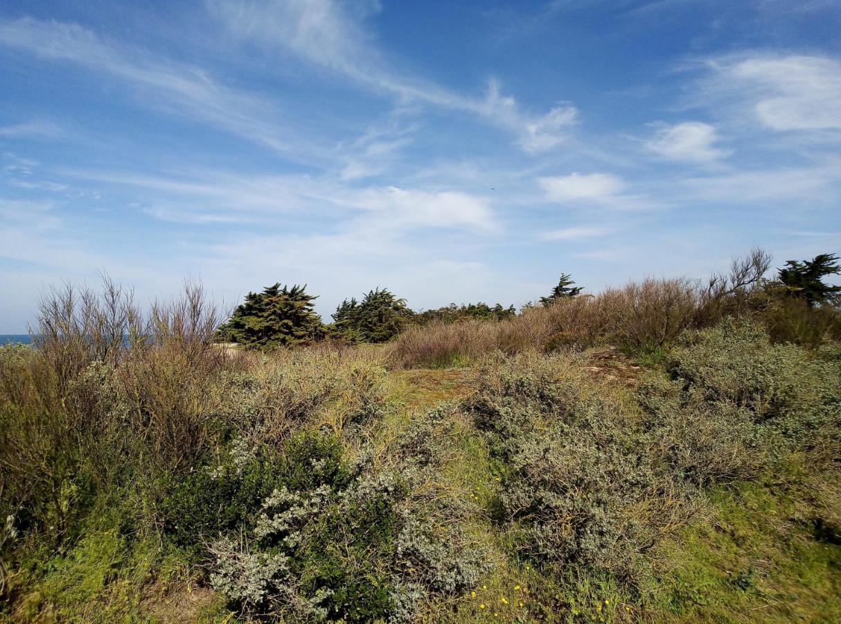 Les Bois Flottes En Re Bed and Breakfast Sainte-Marie-de-Ré Εξωτερικό φωτογραφία